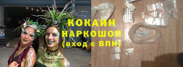амф Арсеньев
